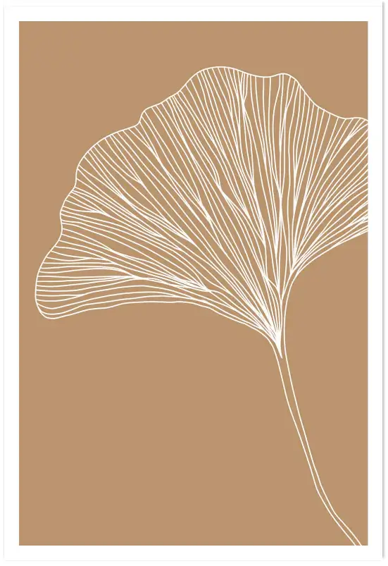 Affiche botanique Nude ginkgo - poster plante