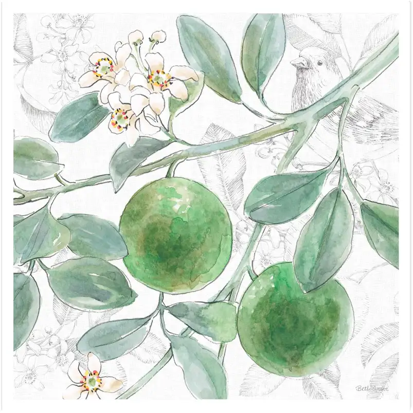 Tableau cuisine lime fleuri - affiche nature morte