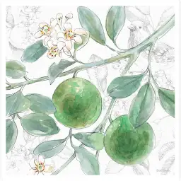 Tableau cuisine lime fleuri - affiche nature morte
