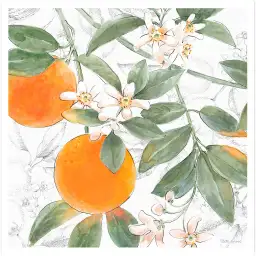 Tableau cuisine orange fleurie - affiche nature morte
