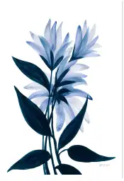 Affiche fleurs bleuets - tableau contemporain fleurs