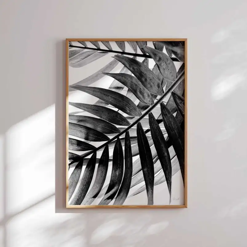 Palmier minimaliste | Affiche photo déco Hexoa - affiche fleurs