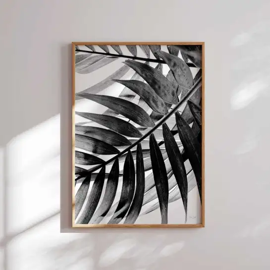Palmier minimaliste | Affiche photo déco Hexoa - affiche fleurs