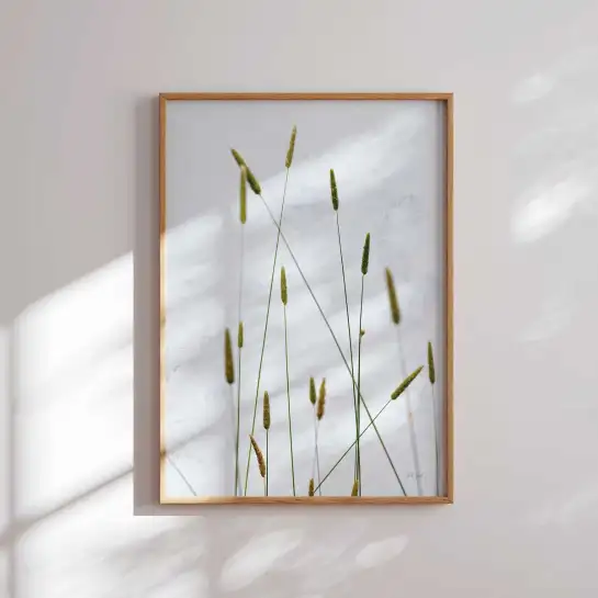 Tableau roseaux et herbes des prés - affiche plantes
