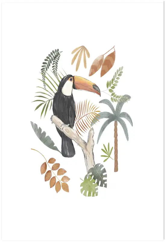 Tableau enfant toucan illustré - affiche enfant