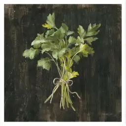 Tableau cuisine bouquet de persils - affiche cuisine
