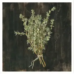 Tableau cuisine bouquet de thym - affiche cuisine