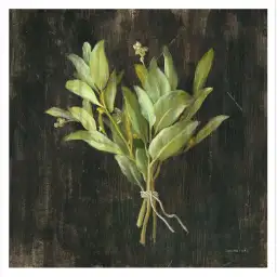 Tableau cuisine bouquet de basilic - affiche cuisine