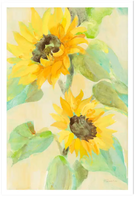 Tableau fleurs Tournesol fleuri - affiche fleurs