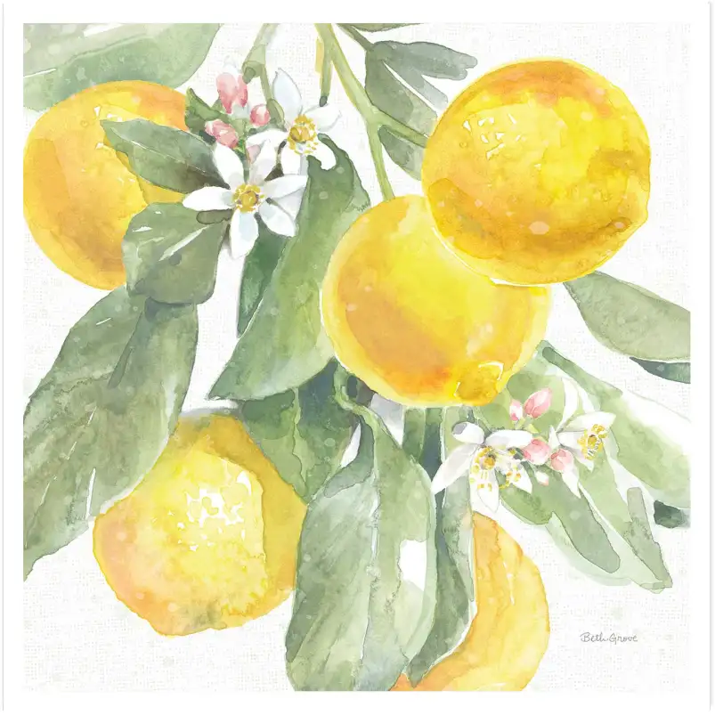 Affiche cuisine vintage Branche de citronniers