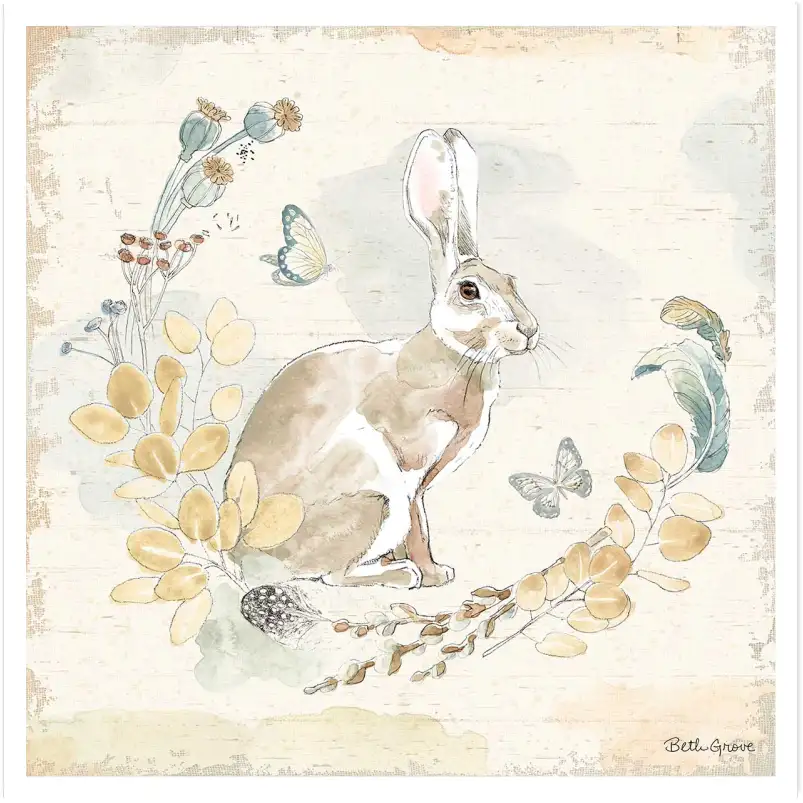 Tableau enfant betty rabbit - affiche animaux chambre bebe