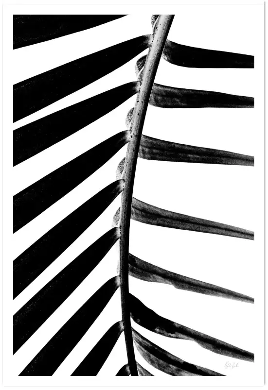 Tableau feuille recto verso - affiche fleurs