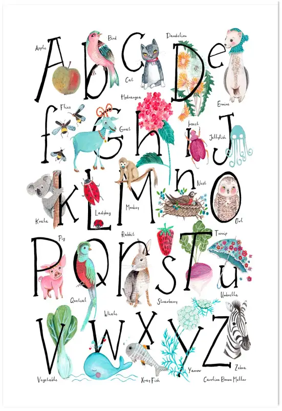 Abc illustration - affichage alphabet