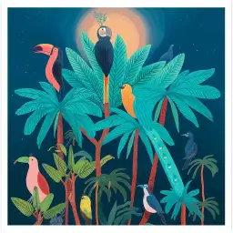 Oiseaux sous les tropiques - affiche oiseaux