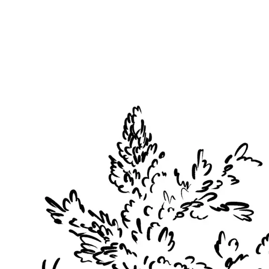 Balade en forêt Noir & Blanc - papier peint paysage