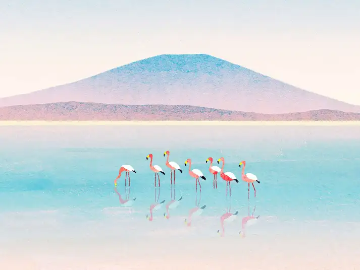 Flamands roses au lac de Vrena - papier peint oiseaux