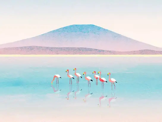 Flamands roses au lac de Vrena - papier peint oiseaux