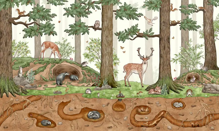 Papier peint Animaux de la forêt Sur et sous terre - papier peint enfant