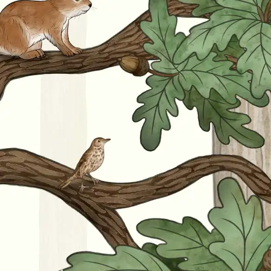 Papier peint Animaux de la forêt Sur et sous terre - papier peint enfant