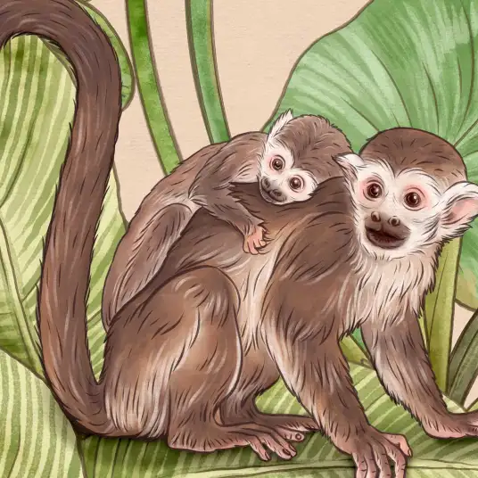 Papier peint Vie de singes et feuilles vertes - papier peint enfant