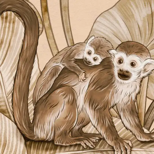 Papier peint Singes Vintage crème - papier peint enfant