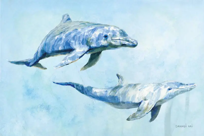 Dauphins en aquarelle - papier peint animaux sauvages
