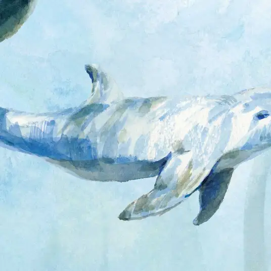 Dauphins en aquarelle - papier peint animaux sauvages