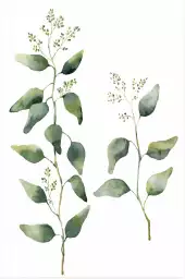 Herbier silence ça pousse - affiche feuille