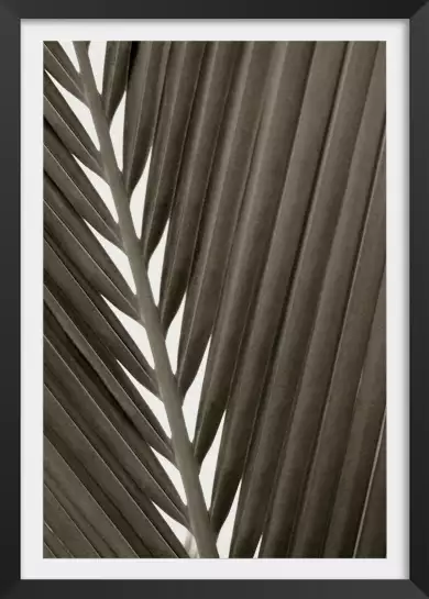 Macro tropicale - affiche feuille de palmier