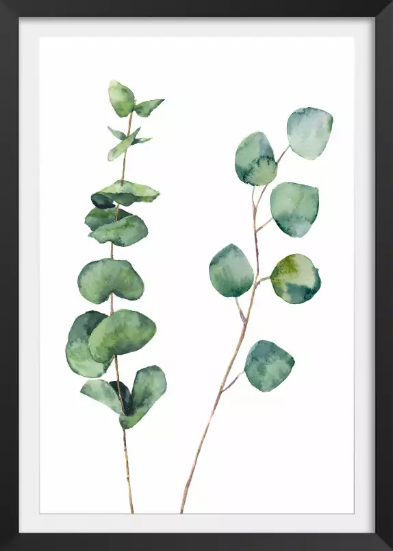 Aquarelle Eucalyptus - affiche feuille