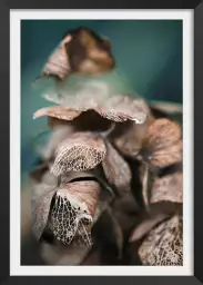 Dentelles de feuille - affiche nature morte