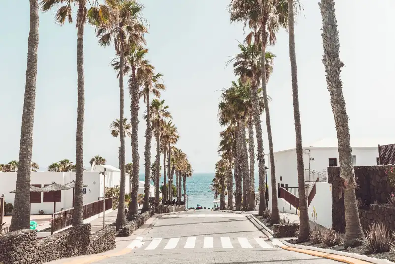 Playa blanca - affiches de forêts
