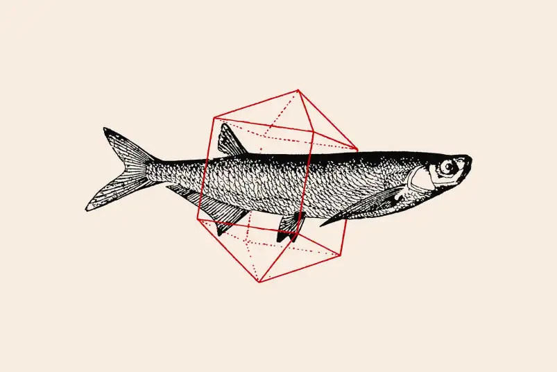 Fish In Geometrics II - graphisme animaux