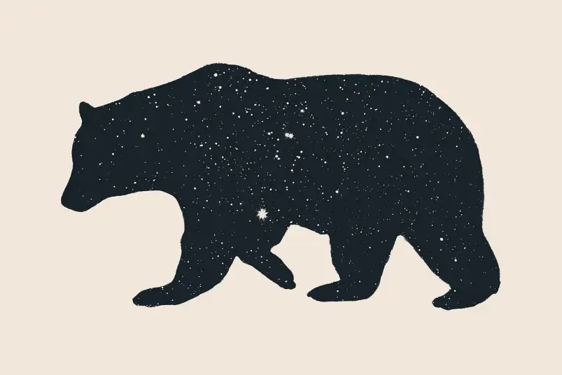 Grande ourse - affiche animaux