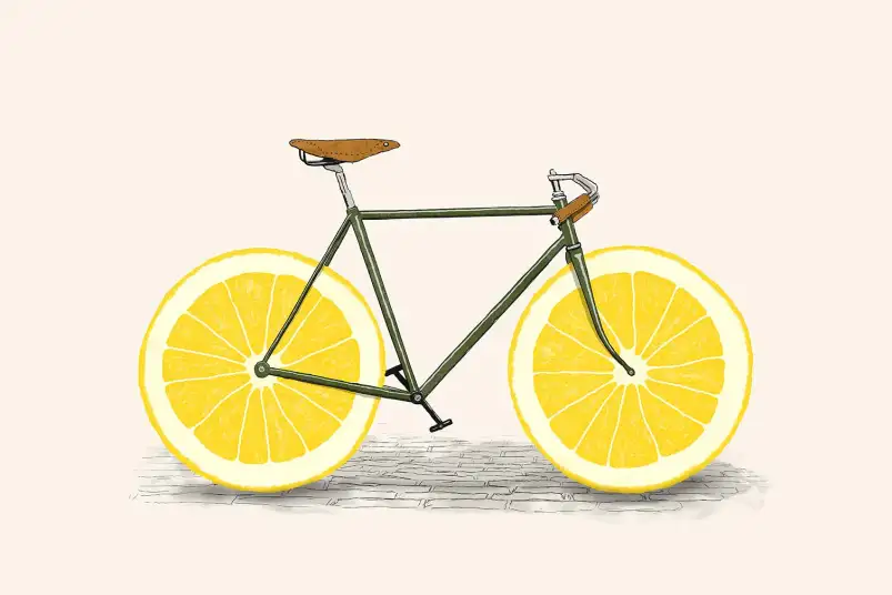 Zeste - affiche velo