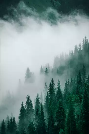 Brouillard au sommet - tableau montagne