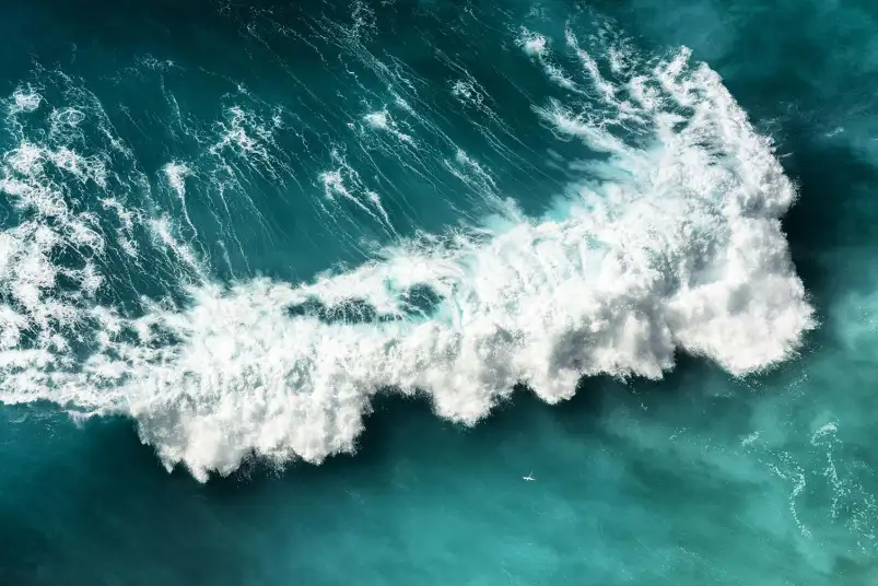 Le pouvoir de l'ocean - affiche mer
