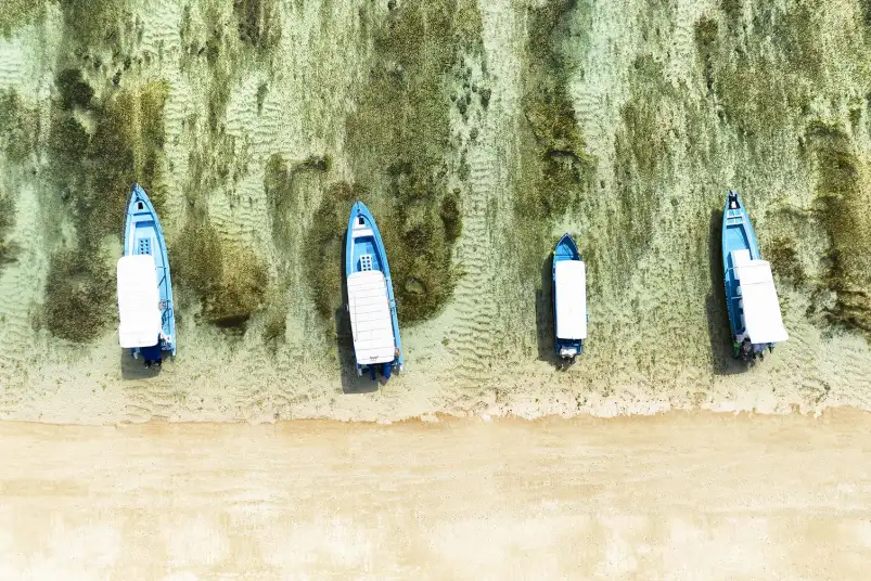 Départ de pêche - affiche bord de mer
