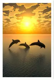 Dauphins trio - tableau animaux marins