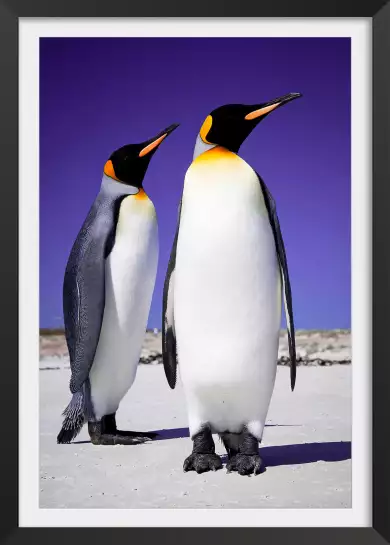 Couple de pingouins - tableau animaux marins