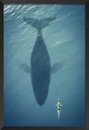 Baleine en profondeur - tableau animaux marins