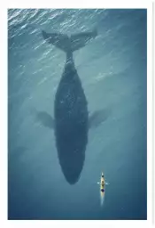 Baleine en profondeur - tableau animaux marins