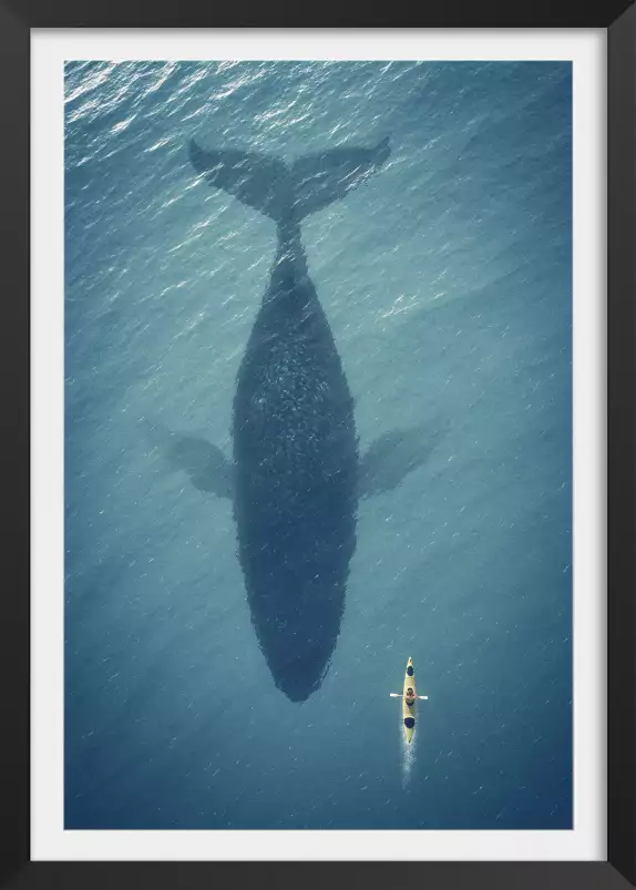 Baleine en profondeur - tableau animaux marins