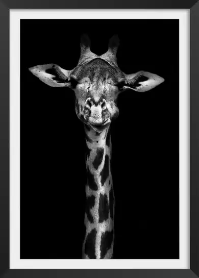 Girafe haute en portrait - photo noir et blanc animaux