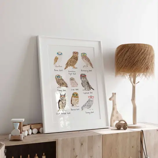 Affiche chouettes à lunettes