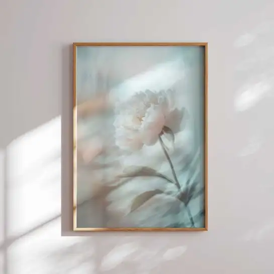 Affiche pivoine blanche photographie botanique