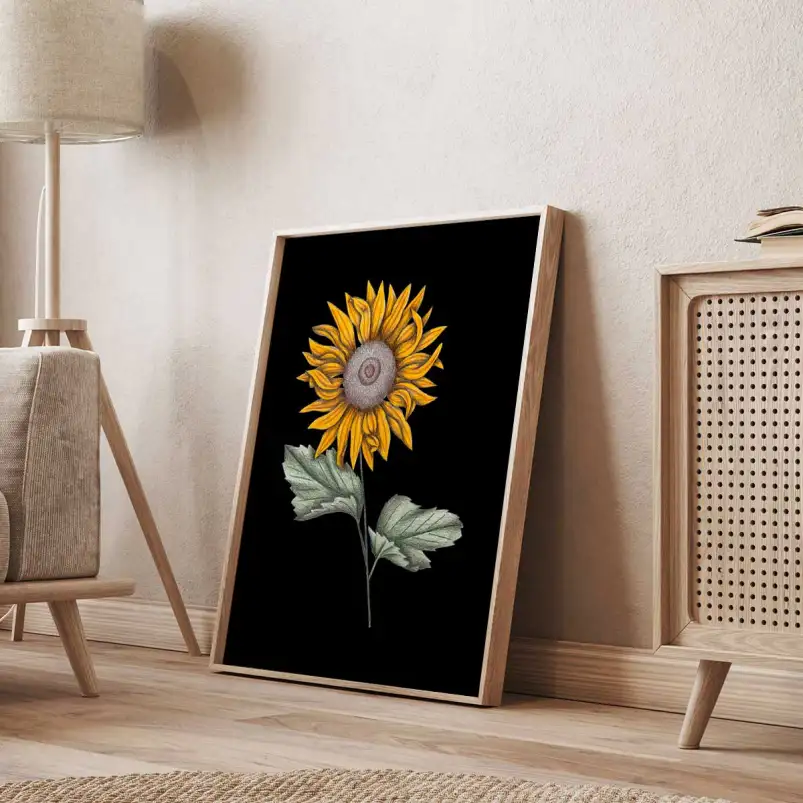 Affiche tournesol illustration botanique vintage