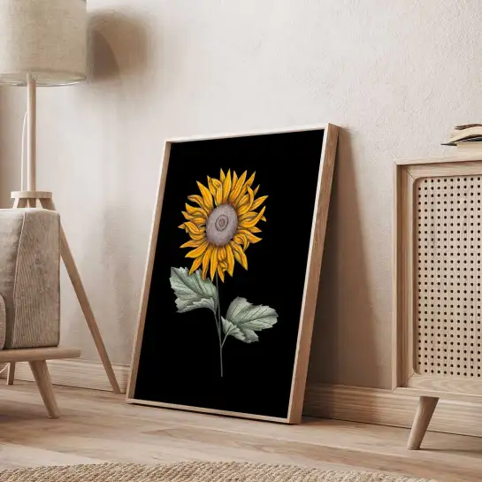 Affiche tournesol illustration botanique vintage