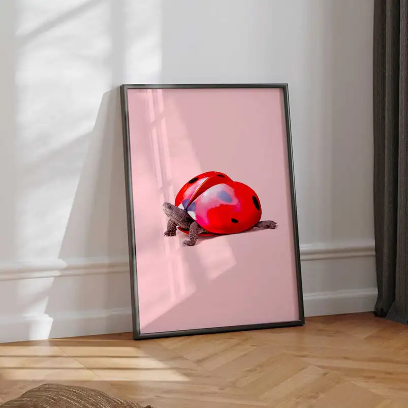 Affiche tortue et coccinelle dans un univers poétique et surréaliste.