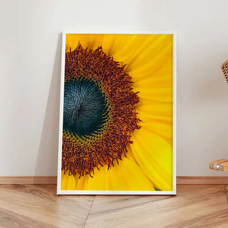 Affiche fleur tournesol gros plan botanique